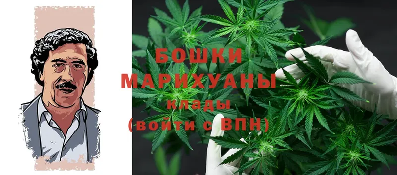 МАРИХУАНА OG Kush  Павлово 